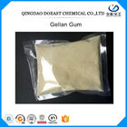 Colore bianco CAS della piccola di Gellan del gel della gomma crema del commestibile nessuna produzione di carne 71010-52-1